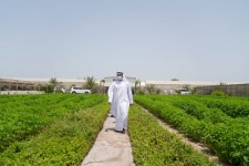 How Silal aims to elevate Abu Dhabis agricultural output - Arabianbusiness How Silal aims to elevate Abu Dhabis agricultural output