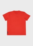 Cotton T-shirt with logo | EMPORIO ARMANI Man