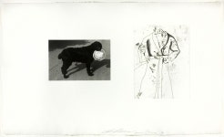 Plate Three, from Photographs and Etchings | The Art Institute of Chicago