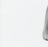 Untitled | The Art Institute of Chicago
