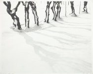 Ombre Nella Neve | The Art Institute of Chicago