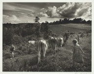 Bringing in Cows | The Art Institute of Chicago