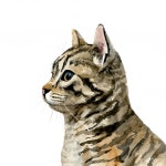 Pet Profile III - 아티쉬