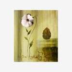 Artist - Art Prints - 아티쉬