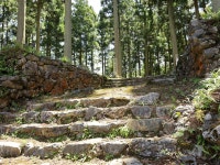 信長も介入した要衝　南・北近江と近江・美濃「境目の城」　鎌刃城 | 朝日新聞デジタルマガジン＆[and]