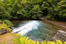 トラウデン直美さん、苫小牧へ。豊かな森と澄んだ水から生まれる物語 | 朝日新聞デジタルマガジン＆[and]