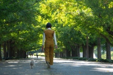 犬×ミートボールのスパゲティ　愛犬とともに歩む日々 | 朝日新聞デジタルマガジン＆[and]