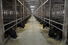 地域とともに　国産原料100％の飼料で牛を育てる | 朝日新聞デジタルマガジン＆[and]