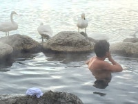 屈斜路湖のほとりで、白鳥と混浴気分「コタン露天風呂」 | 朝日新聞デジタルマガジン＆[and]