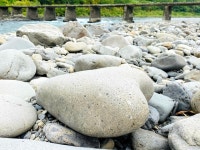 高知）嵐にも雨にも負けず「ハートの石」4回目復活：朝日新聞デジタル 【写真・図版】四万十川の増水で倒れた恋の石... 