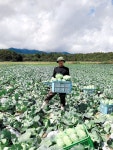 ブー・バン・ズンさんの旅券。入管に出頭し９０日間の短期滞在ビザや週２８時間まで働ける資格外活動許可を得た＝２０２１年２月１１日、... 