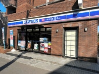 「コンビニ＋本屋」で本の灯を守れるか　ローソンが100店舗計画：朝日新聞デジタル