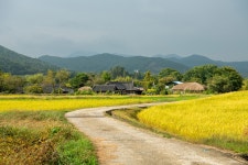 전체 둘레길 | 너와 나 함께하는 아산숲길 누리집입니다. 전체 둘레길