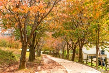 전체 둘레길 | 너와 나 함께하는 아산숲길 누리집입니다. 전체 둘레길