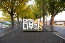 갤러리 | 너와 나 함께하는 아산숲길 누리집입니다. 갤러리