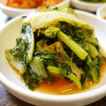 아산10선 | 온양온천시티투어 아산10선