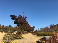영인산 자연휴양림 | 공공저작물 | 아산시 문화관광 아산시 문화관광
