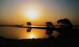 4월 선장면 | 선장면 풍경사진 | 아산시 선장면