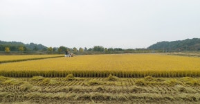 10월의 선장면 | 선장면 풍경사진 | 아산시 선장면