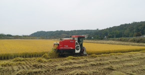 10월의 선장면 | 선장면 풍경사진 | 아산시 선장면
