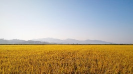 선장면 풍경사진 | 아산시 선장면