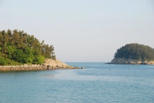 월전포 동측 갯바위 부근 낚시 포인트, 안굴전방파제 인근 바다낚시 포인트 - 바다타임 [바다타임]대한민국 최대 물때표 사이트>남해... 