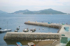 목과항 방파제 부근 낚시 포인트, 목과항 인근 바다낚시 포인트 - 바다타임 [바다타임]대한민국 최대 물때표 사이트>남해>목과항<바다 낚시 포인트>