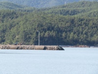 안평마을 방파제 부근 낚시 포인트, 영전리 인근 바다낚시 포인트 - 바다타임 [바다타임]대한민국 최대 물때표 사이트>서해>영전리<바다 낚시 포인트>