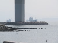 이순신 대교 부근 낚시 포인트, 송도 인근 바다낚시 포인트 - 바다타임 [바다타임]대한민국 최대 물때표 사이트>남해>송도<바다 낚시 포인트>