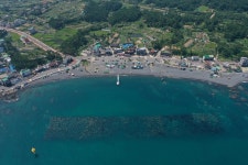 주전몽돌해변 부근 낚시 포인트, 주전항 인근 바다낚시 포인트 - 바다타임 [바다타임]대한민국 최대 물때표 사이트>동해>주전항