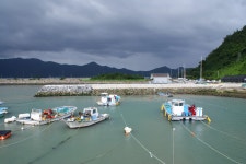 화흥 방파제 부근 낚시 포인트, 화흥포 인근 바다낚시 포인트 - 바다타임 [바다타임]대한민국 최대 물때표 사이트>남해>화흥포<바다 낚시 포인트>