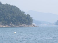 삼태선착장 맞은편 부근 낚시 포인트, 삼태 인근 바다낚시 포인트 - 바다타임 [바다타임]대한민국 최대 물때표 사이트>남해>삼태<바다 낚시 포인트>