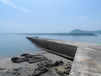 부엉산 밑 선창 부근 낚시 포인트, 상나배도 인근 바다낚시 포인트 - 바다타임 [바다타임]대한민국 최대 물때표 사이트>서해>상나배도<바다 낚시...
