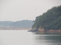 금호바닷가펜션 부근 부근 낚시 포인트, 구림항 인근 바다낚시 포인트 - 바다타임 [바다타임]대한민국 최대 물때표 사이트>서해>구림항<바다 낚시... 