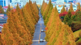 한 코스에서 두 풍경을 누리다… 발길이 절로 멈추는 힐링 스팟 - 발품뉴스 마이너 갤러리