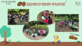 K2Web Wizard - [벚나무와 소나무]중앙대학교 부속유치원 만 5세 K2WebWizard