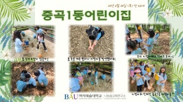 K2Web Wizard - [숲 체험원 이야기] : 6월 K2WebWizard