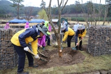 미디어보도 > 기관소개  | 국립백두대간수목원