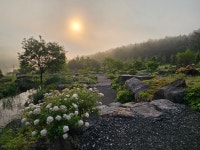 국립백두대간수목원: 수목원 플러스 + > 수목원이야기 > 수목원일기-상세 고요한 아침, 암석원