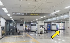 오시는길 - 관람안내 - 베페