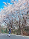 베니토 라인 너무 늘씬하게 잡아주는 니트 원피스에요~ 연보라빛과 파랑의 중간 색이며 넘 이쁘상품 사용후기 (후기 불러오는 중...) - (주)베니토