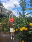 우아한 그녀, 감성 오피스룩 베니토 그냥 딱 기본디자인! 두께도 도톰해요 입었을 때 귀여운느낌인거같아요 편하게 어디에나상품 사용후기 (후기... 