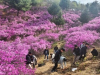 포토존(상세) < 홍보관 < 정보마당 : 부천도시공사
