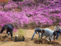 포토존(상세) < 홍보관 < 정보마당 : 부천도시공사