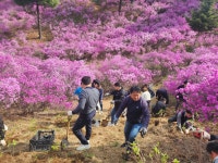 포토존(상세) < 홍보관 < 정보마당 : 부천도시공사