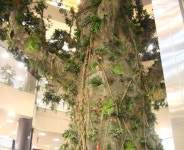 BIFAN 뉴스 | BIFAN Bucheon International Fantastic Film Festival