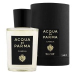 프롬드몽 | Acqua Di Parma Ambra Edp Spray 100Ml | BIG W