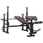 Adjustable Multi-Function Weight Bench for Full-Body Home Gym Workouts | BIG W