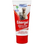 Vetsense Energel 60ml | BIG W