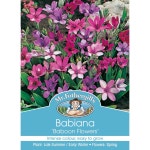 Mr Fothergills Babiana Baboon Flowers Bulbs | BIG W